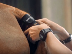 Garmin Blaze to nowy gadżet dla koniar. Nie działa z hobby horse