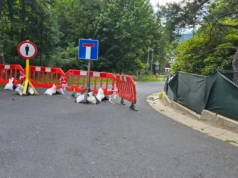 Szklarska Poręba - Co dalej z podkopanymi drzewami? Fragment ulicy Kopernika będzie zamknięty przynajmniej do 21 września.