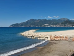 Szczury opanowują europejską plażę. To poważne zagrożenie