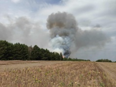 Pożary lasów w powiecie lubartowskim. Wezwano moduł GFFF