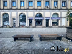 Te polskie miasta znikają z mapy – sprawdź, które tracą mieszkańców najszybciej!
