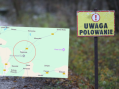 Napiwoda: myśliwy kontrolnie strzelił w ziemię, ale rykoszetem postrzelił kolegę