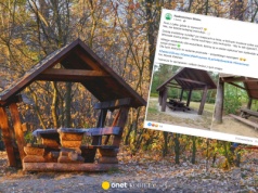 Leśnicy apelują do turystów. 