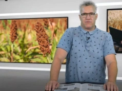 Rejestr aktywnych rolników w ARiMR. Emeryt i właściciel bez dopłat?