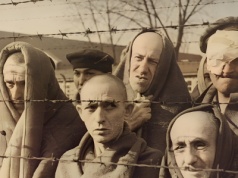 „Zapadali się w sobie, nie spadając na podłogę”. Dziesiątki tysięcy więźniów Auschwitz poddano „fenolowaniu”