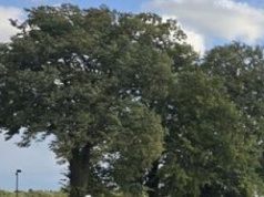 Jezdnia na wiadukcie to zagrożenie. Rozpoczął się remont drogi wojewódzkiej