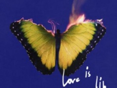 Love Is Like