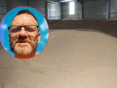 Zboże tańsze niż otręby. Rolnik załamany: nie mam gdzie sprzedać 500 ton pszenicy