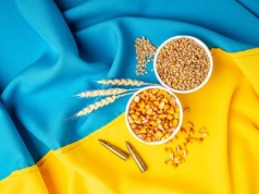 Ukraina może zdestabilizować rynek pszenicy. Światowa cena jest ustalana w Moskwie lub na Morzu Czarnym