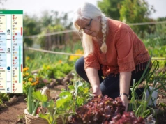 Kalendarz biodynamiczny na wrzesień 2025: co sadzić i zbierać w ogrodzie?