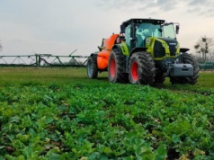 Odchwaszczanie rzepaku ozimego – lepiej nie zostawiać do wiosny