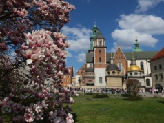 Ceny straszą nie tylko nad morzem. Wawel nie ma litości dla turystów