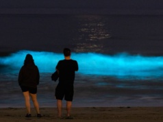 Kosmiczny blask rozświetlił ocean. Plażowicze zobaczyli 