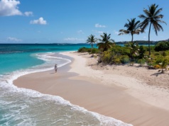 Anguilla zaskakuje cyfrowym sukcesem. Dochody z domen .ai biją rekordy