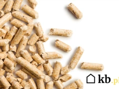 Pellet pelletowi nierówny – tylko nieliczni wiedzą, jak rozpoznać ten właściwy