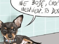 Magiczny talizman dla psa? Dzięki niemu pupil łatwiej zniesie stres