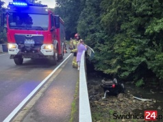 Wpadł do rzeki, grozi mu do 5 lat więzienia