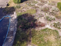 Rosarium w Parku Śląskim przejdzie gruntowny remont. Ma wyglądać jak w latach 60., ale będą też nowe elementy