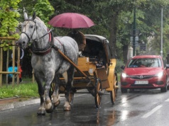 Domy na wynajem zamiast poideł dla koni. Afera w Zakopanem trwa. 