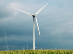Nowa ustawa o OZE jeszcze we wrześniu. Rząd chce przyspieszyć rozwój farm wiatrowych