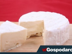 Moda na dietę bezlaktozową – czy to się opłaca?