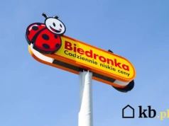 Tylko do 6 września: hitowa kawa w Biedronce kosztuje grosze!