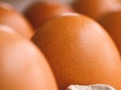 Drogie, coraz droższe. Ceny jaj w Polsce nadal będą szły w górę