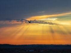 Renshine Solar z rekordem. Elastyczne ogniwa słoneczne osiągnęły imponujący widok