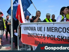 Rolnicy w rozpaczy. „Dramatyczny spadek opłacalności”