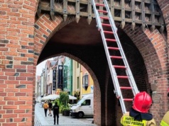 Gołąb uwięziony pod Wysoką Bramą. Strażacy ruszyli na pomoc