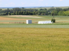 Dzierżawa ziemi na nowych zasadach. Kiedy poznamy projekt ustawy?