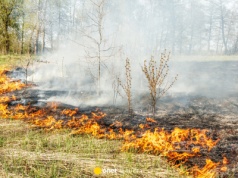 Będą surowe kary za wypalanie traw i rozniecanie ognia. Mogą sięgnąć nawet do 30 tys. zł