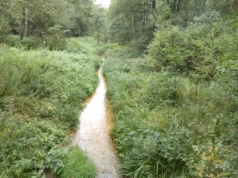 Kozi Bród – rzeka, która znika i powraca