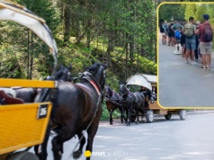 Przyjeżdżają w Tatry, żeby stać w kolejce do bryczek. "Mnie by się nie chciało"