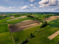Kto może kupić ziemię rolną? Czym jest gospodarstwo rolne według prawa?