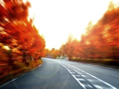 Jak uniknąć mandatów w Polsce: perspektywa prawna [ Strefa biznesu ]