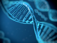 Czym są kasety DNA? Rozwiążą wieloletni problem