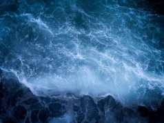 Ciemny tlen na dnie oceanu. Jego dziwna forma wywraca wiedzę o życiu i energii