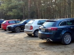 Wjechałem autem do lasu. Nie mogłem go znaleźć i wleciało 500 zł mandatu