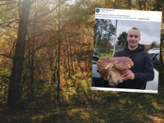 Prawdziwy gigant. Grzybiarz pokazał, co znalazł w lesie pod Tarnowem