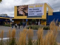 Greenpeace: IKEA robi meble z blisko 200-letnich drzew