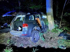 Zielona Góra. Wypadek, Volkswagen uderzył w drzewa. Kierująca Ukrainka pijana, a pijany pasażer Ukrainiec atakował medyków z karetki (ZDJĘCIA)