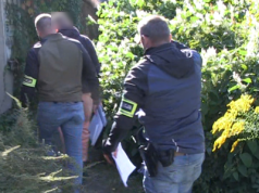 Trzy miesiące aresztu dla sprawcy wypadku, który uciekł z miejsca zdarzenia