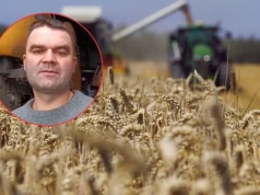 Niskie ceny zbóż dobijają rolników. Dali ministrowi receptę