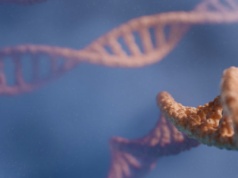 Stworzyli ludzki embrion z DNA. Przerażające, jak niewiele potrzebowali