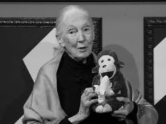 Jane Goodall nie żyje. Słynna badaczka naczelnych miała 91 lat