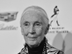 Zmarła Jane Goodall. Była słynną badaczką szympansów