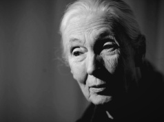 Zmarła tak, jak żyła. Jane Goodall, ikona prymatologii i wielka obrończyni przyrody, miała 91 lat