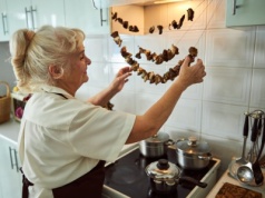 Tych grzybów nie susz pod żadnym pozorem. Staną się trujące