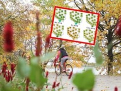 Do Polski dociera klin ciepła znad Maroka. Jeden dzień będzie wyjątkowy